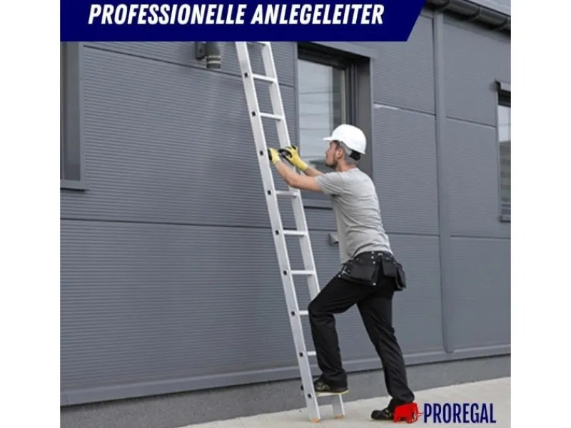 PROREGAL Sprossen-Anlegeleiter Economy Plus Ohne Traverse 9 Sprossen Arbeitshöhe 3,46 m Traglast 150 kg