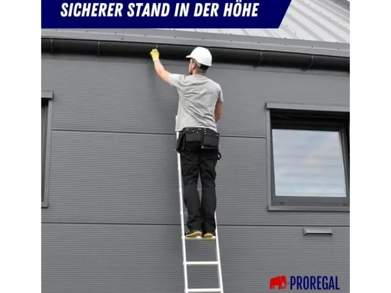 PROREGAL Sprossen-Anlegeleiter Economy Plus Ohne Traverse 9 Sprossen Arbeitshöhe 3,46 m Traglast 150 kg
