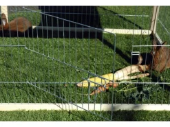 Sale Dobar Quadratisches Freilaufgehege Nadelholz