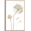 Online Reinders Gerahmtes Bild Trockenblumen für Wohnzimmer 30 cm x 20 cm Beige
