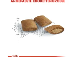 Outlet Royal Canin Ageing 12+ Trockenfutter für ältere Katzen 2 kg