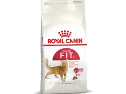 Royal Canin Fit Trockenfutter für aktive Katzen 2 kg