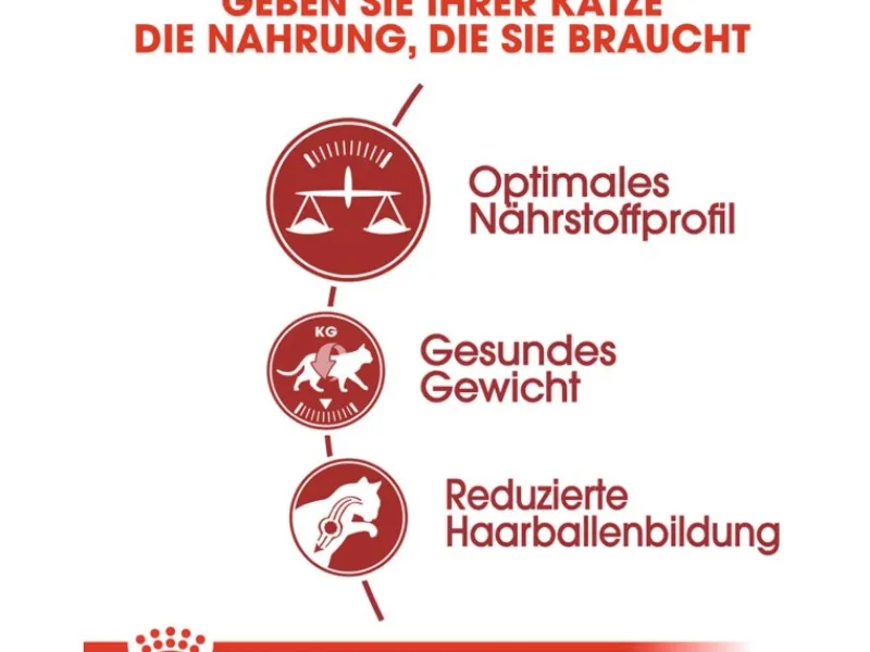 Royal Canin Fit Trockenfutter für aktive Katzen 2 kg