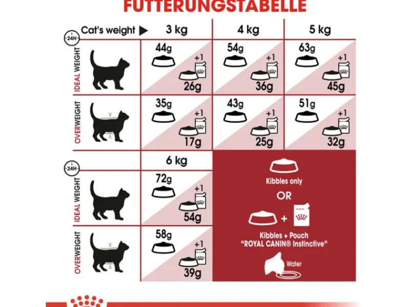 Royal Canin Fit Trockenfutter für aktive Katzen 2 kg
