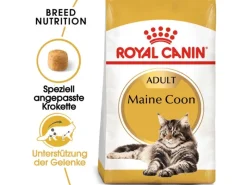 Royal Canin Maine Coon Adult Katzenfutter Trocken 10 kg