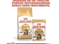 Royal Canin Maine Coon Adult Katzenfutter Trocken 10 kg