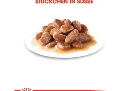 Royal Canin Urinary Care Katzenfutter Nass Gesunde Harnwege 85 g