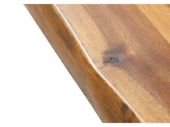 Best SAM Tischplatte Baumkante Akazie Cognac 140 x 80 cm Esra