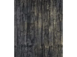 Sanders & Sanders Fototapete Holz Schwarz und Gold 200 x 250 cm 611961