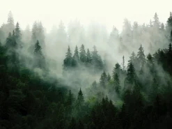 Sanders & Sanders Fototapete Berglandschaft Mit Bäumen Grün 3,75 x 2,7 m 601167