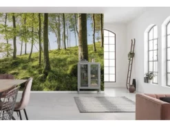 Sanders & Sanders Fototapete Landschaft Grün und Blau 450 x 280 cm 612683