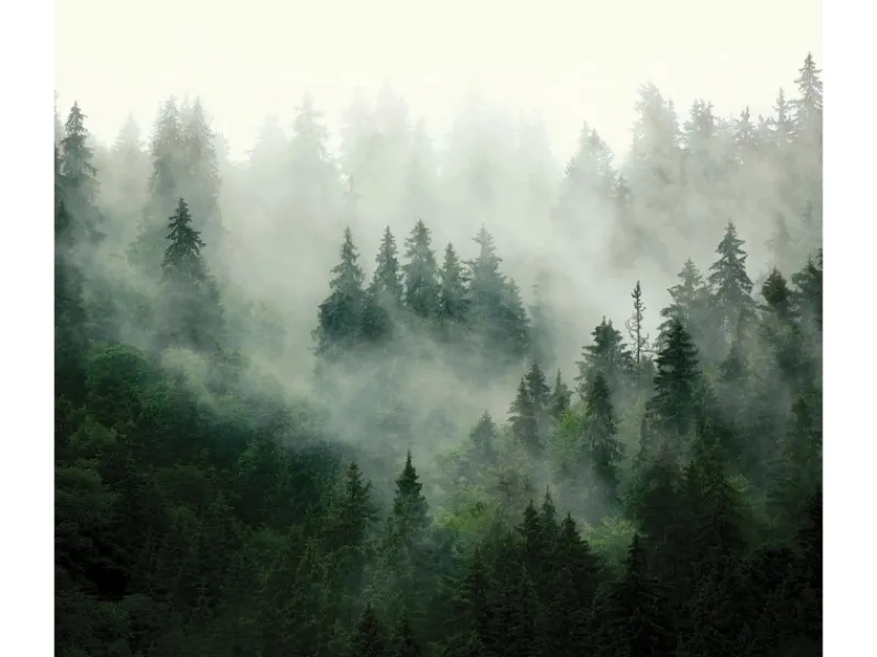 Sanders & Sanders Fototapete Berglandschaft Mit Bäumen Grün 3 x 2,7 m 601175