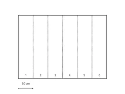Sanders & Sanders Fototapete Fisch Blau 300 x 280 cm 612031