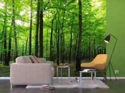 Sanders & Sanders Fototapete Bewaldete Landschaft Grün 360 x 254 cm 600401