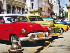 Hot Sanders & Sanders Poster Oldtimer Rot Grün und Gelb 160 x 110 cm 600682