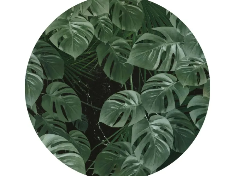 Sanders & Sanders Selbstklebende Runde Tapete Blätter Grün Ø 125 cm 611731