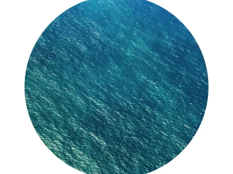 Best Sanders & Sanders Selbstklebende Runde Tapete Ruhig Blaugrün Ø 125 cm 611799