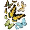 Clearance Sanders & Sanders Wandtattoo Schmetterlinge Gelb Grün und Blau 65 x 85 cm 600284