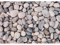 Clearance Scherf Flusskiesel Grau-Beige 16-32 mm 25 kg PE-Sack
