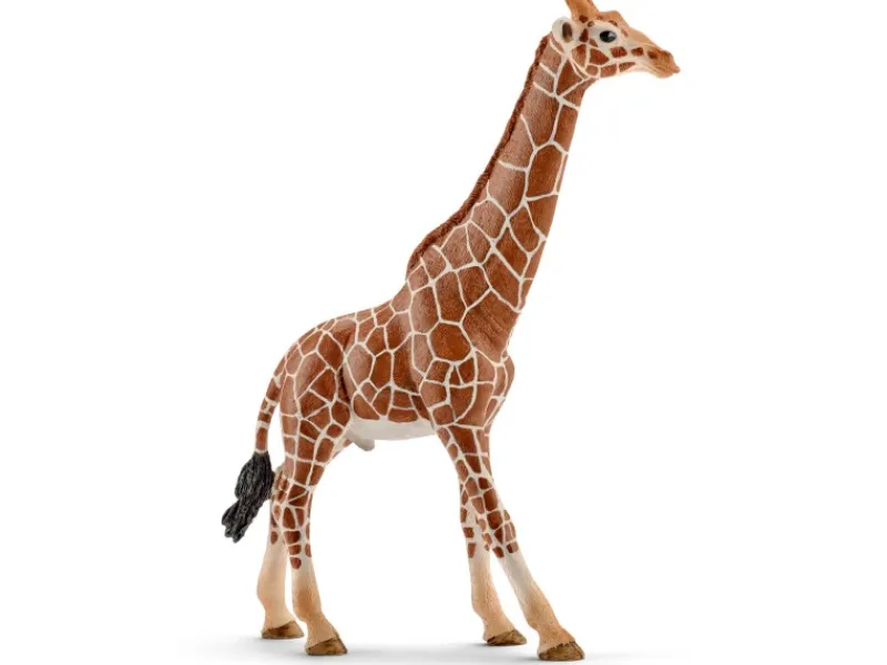 Schleich Wild Life Giraffenbulle