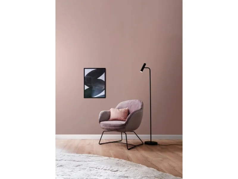 SCHÖNER WOHNEN-Farbe Schöner Wohnen Designfarben Romantisches Pfingstrosenrosé 2,5 l