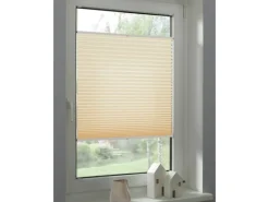 Outlet Schöner Wohnen Kollektion Schöner Wohnen Plissee Milla 50 cm x 130 cm Beige