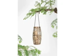 Best Singing Friend SingingFriend Vogelfutter-Spender Faya