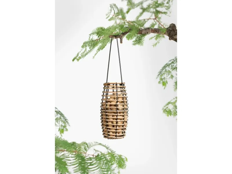 Best Singing Friend SingingFriend Vogelfutter-Spender Faya