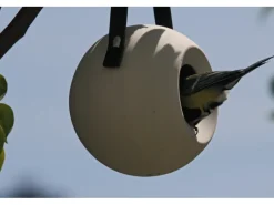 Clearance Singing Friend SingingFriend Vogelhaus Lisa Grey Grau