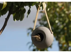 Clearance Singing Friend SingingFriend Vogelhaus Lisa Grey Grau