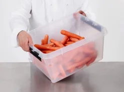 SmartStore Aufbewahrungsbox Classic mit Deckel 31 l