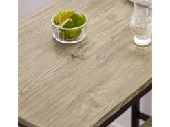 SoBuy Bartisch Set mit 2 Barhockern Holz Metall Natur Schwarz OGT03-N