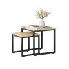 Discount SoBuy 2er Set Couchtisch Beistelltisch Sofatisch Kaffeetisch Natur FBT42-N