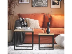 Discount SoBuy 2er Set Couchtisch Beistelltisch Sofatisch Kaffeetisch Natur FBT42-N