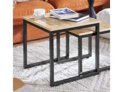 Discount SoBuy 2er Set Couchtisch Beistelltisch Sofatisch Kaffeetisch Natur FBT42-N