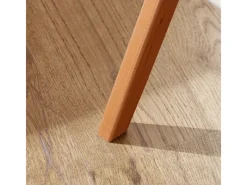 SoBuy Esszimmerstuhl Klappstuhl Küchenstuhl Polsterstuhl mit Lehne FST92-W