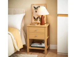 Sale SoBuy Nachttisch Sofatisch Beistelltisch mit 2 Schubladen Natur FBT114-N