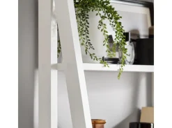 Hot SoBuy Wandregal Leiterregal Standregal Bücherregal Weiß FRG61-W