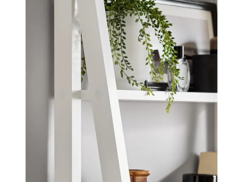 Hot SoBuy Wandregal Leiterregal Standregal Bücherregal Weiß FRG61-W