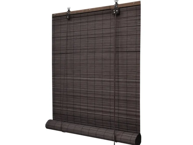 Hot Sol Royal SolDecor B86 Bambusrollo 90x160cm Braun