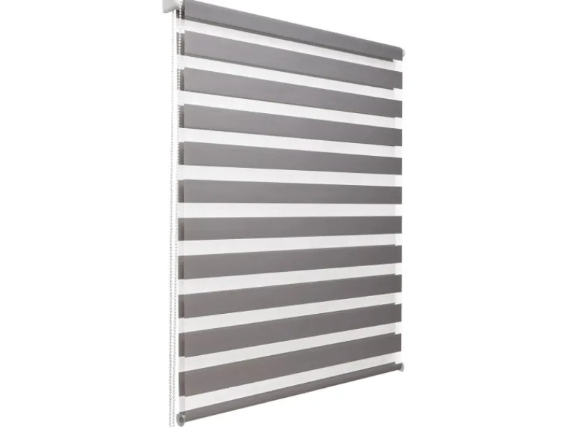 Discount Sol Royal SolDecor DL2 Doppelrollo 110x150cm Grau
