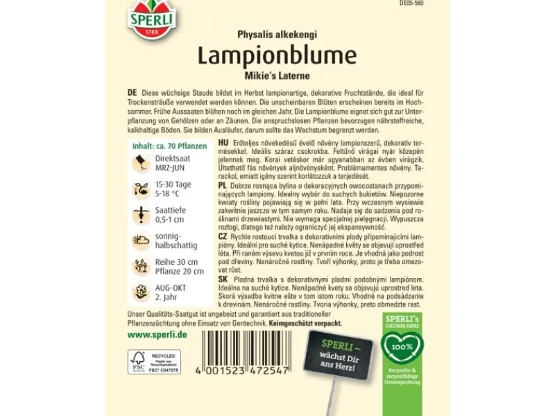 Sale Sperli Lampionblume "Mikie's Laterne" Physalis alkekengi