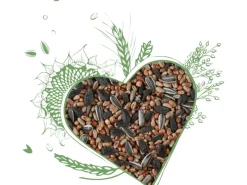 elles Streufutter inkl. 3 Meisenknödel für Wildvögel im 3 kg Eimer