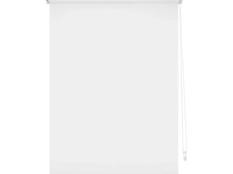 Tageslicht-Rollo Zamora 80 cm x 175 cm