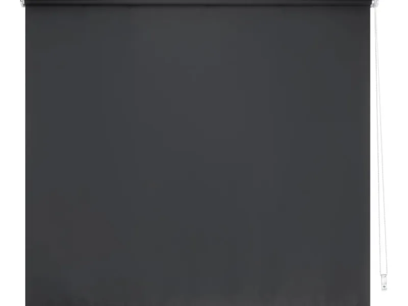Online Tageslicht-Rollo Zamora 120 cm x 175 cm Grau