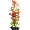 Tetra Kunstpflanze DecoArt Plant S Red Ludwigia