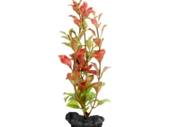 Tetra Kunstpflanze DecoArt Plant S Red Ludwigia