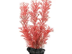 Clearance Tetra Kunstpflanze DecoArt Plant S Foxtail Red