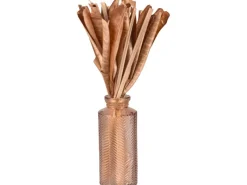 Outlet Trockenblumen in Vase Desert Flower 30 cm Dunkelbraun