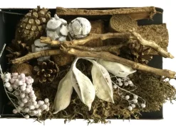 Discount Trockenpflanzen Dekomix Weiß-Natur